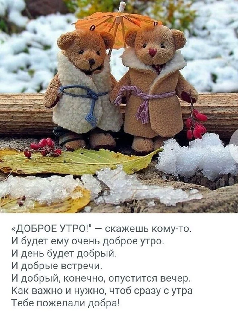 Доброе утро цитаты