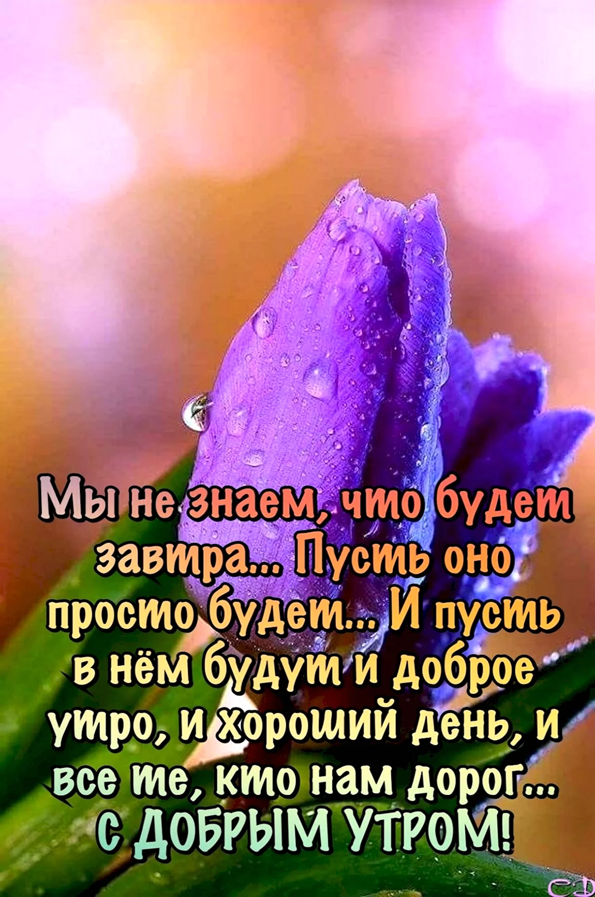Доброе утро цитаты