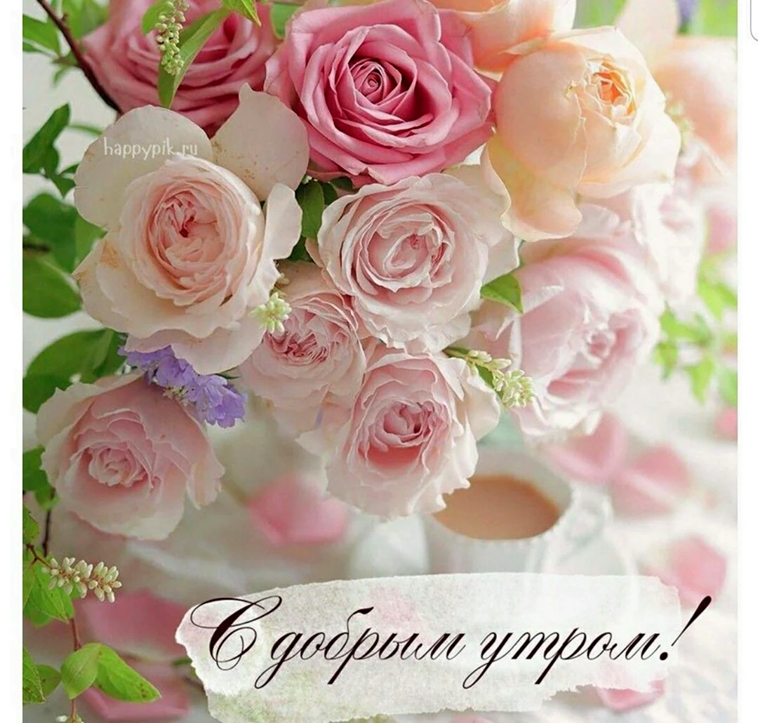 Доброе утро цветы