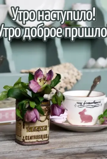 Доброе утро Весна