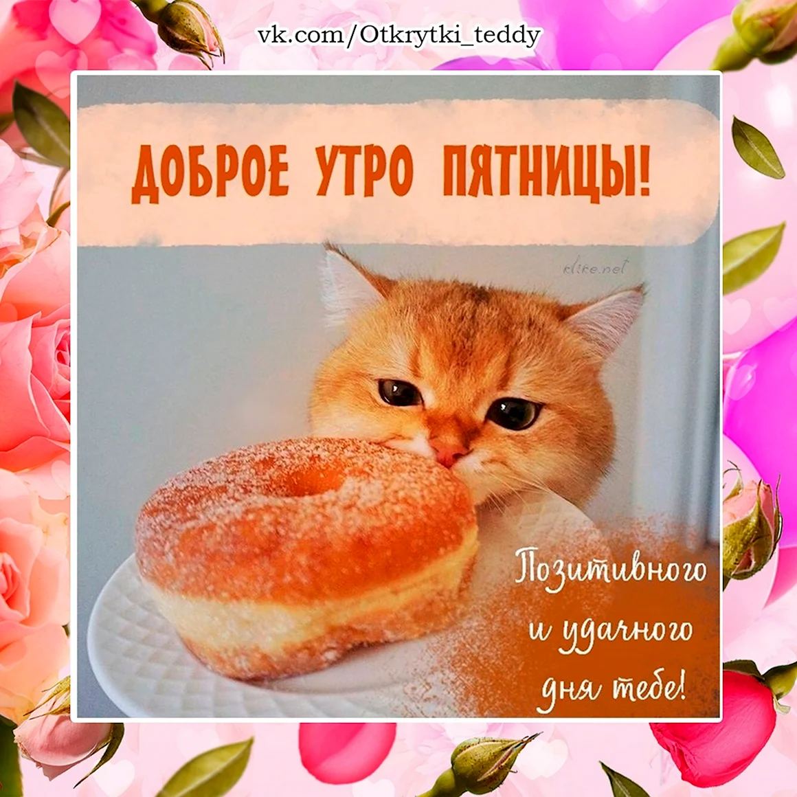 Доброе утро воскресенье картинки позитивные