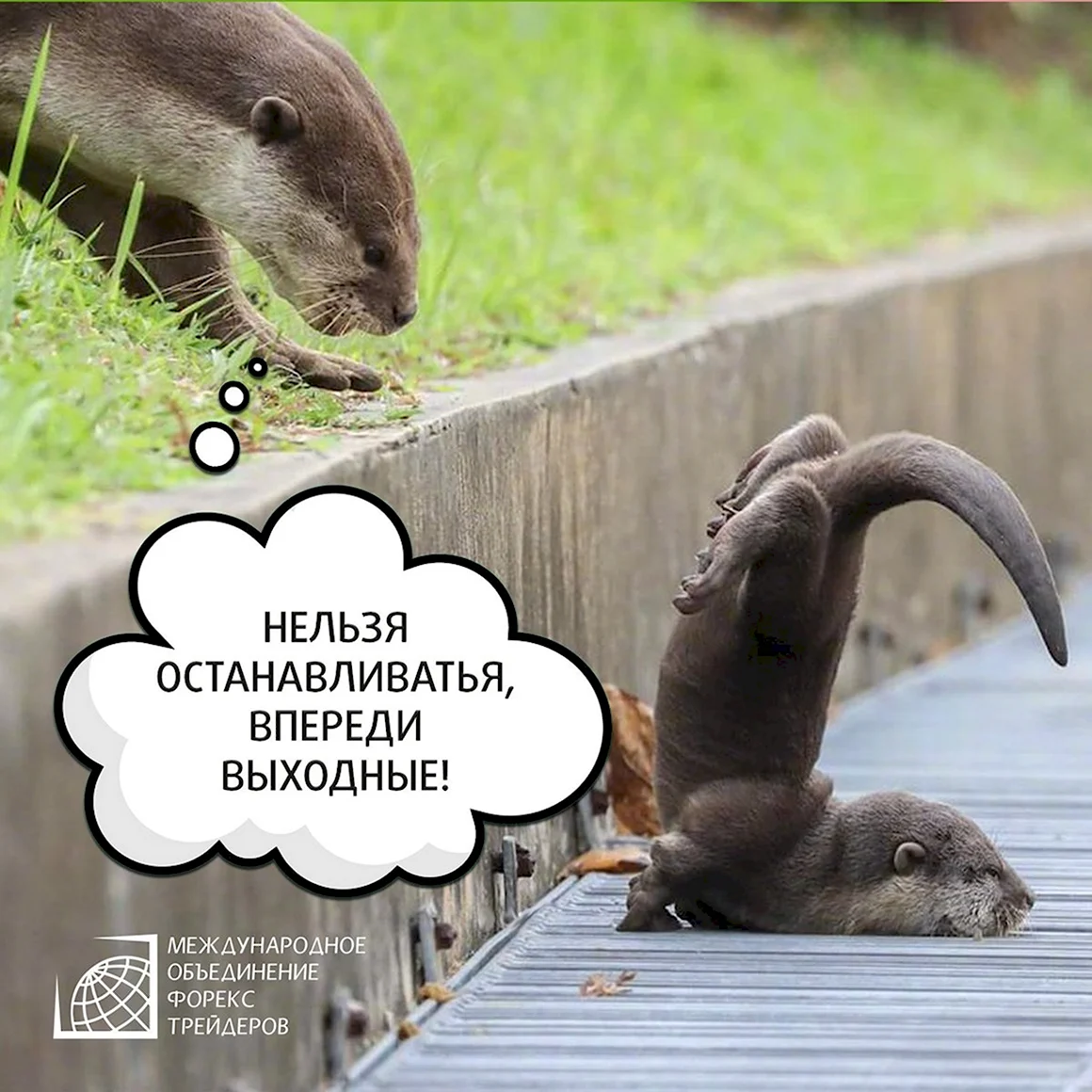Доброе утро впереди выходные