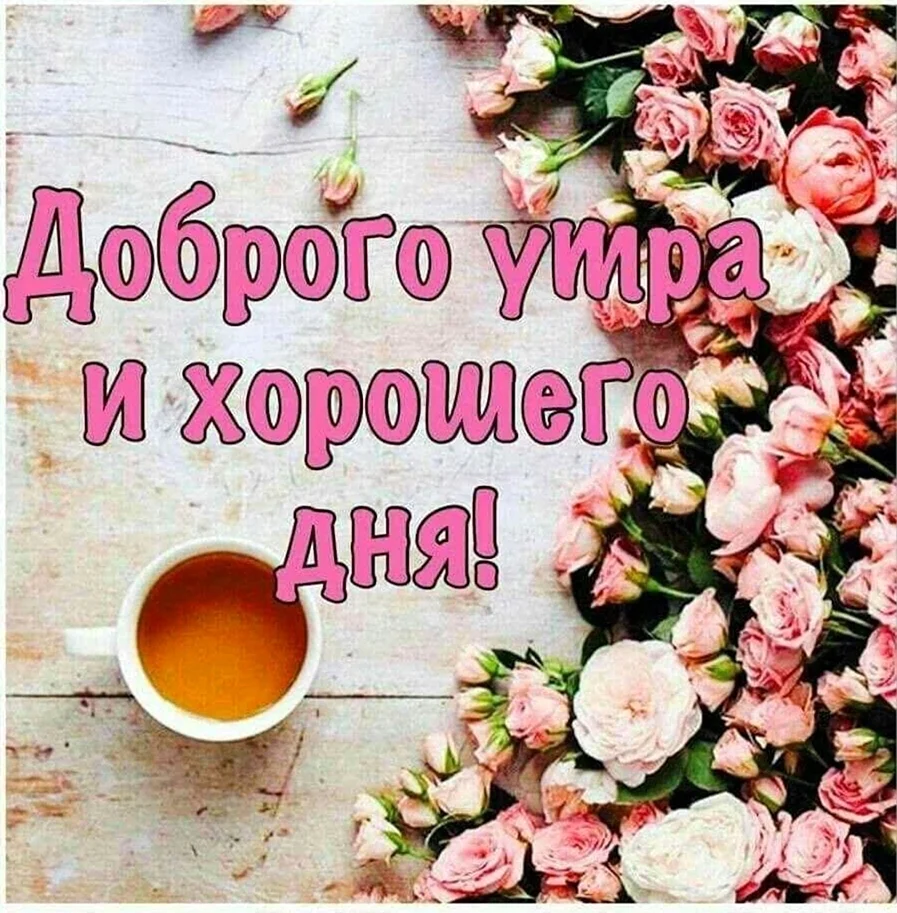 Доброе утро вторника