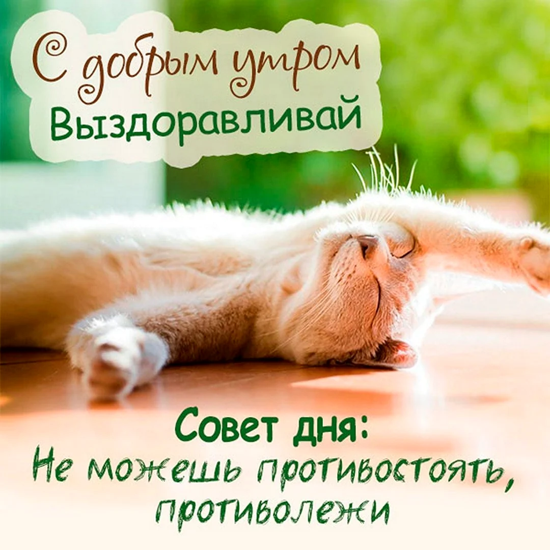 Доброе утро выздоравливайте
