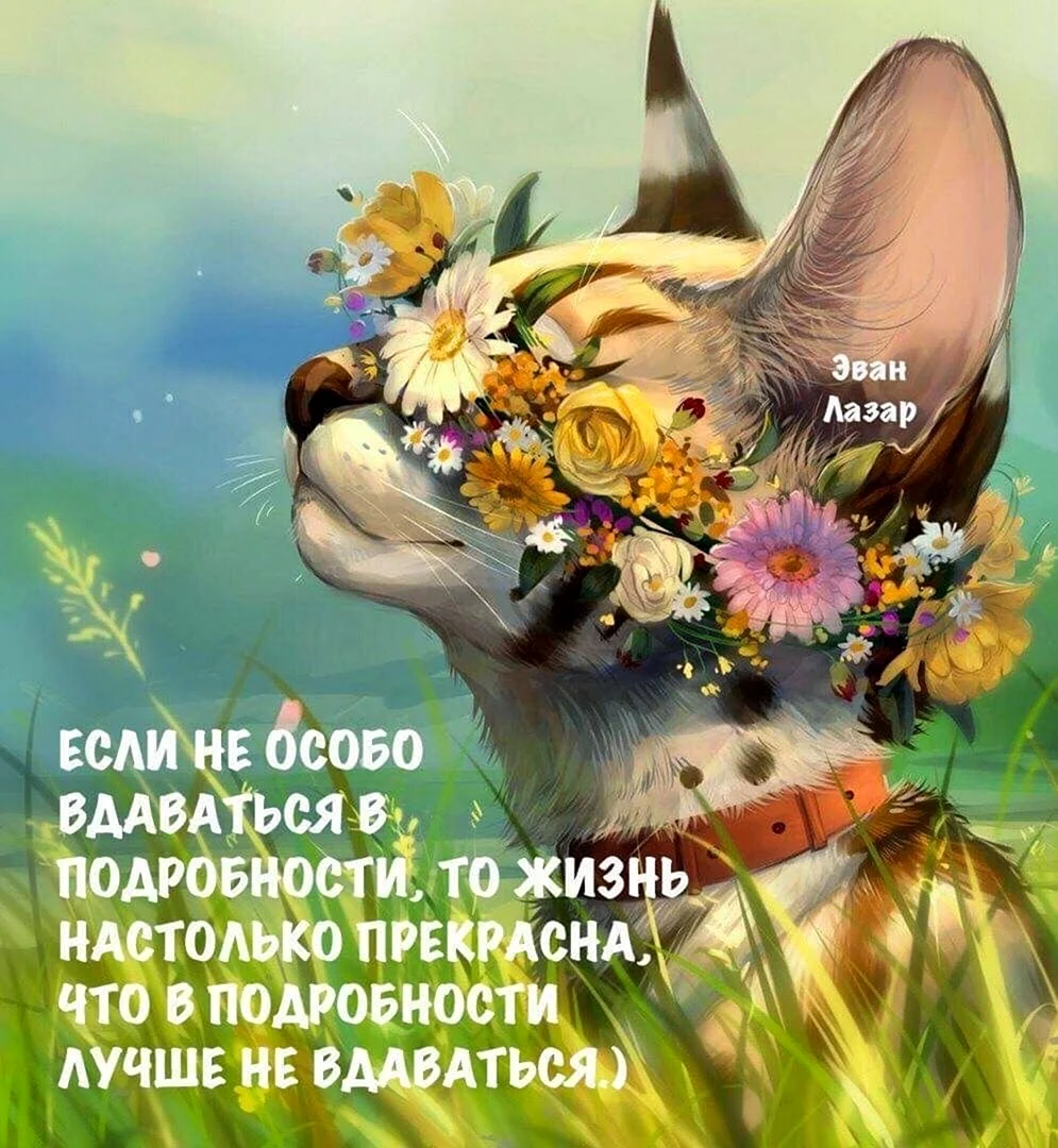 Доброе утро жизнь