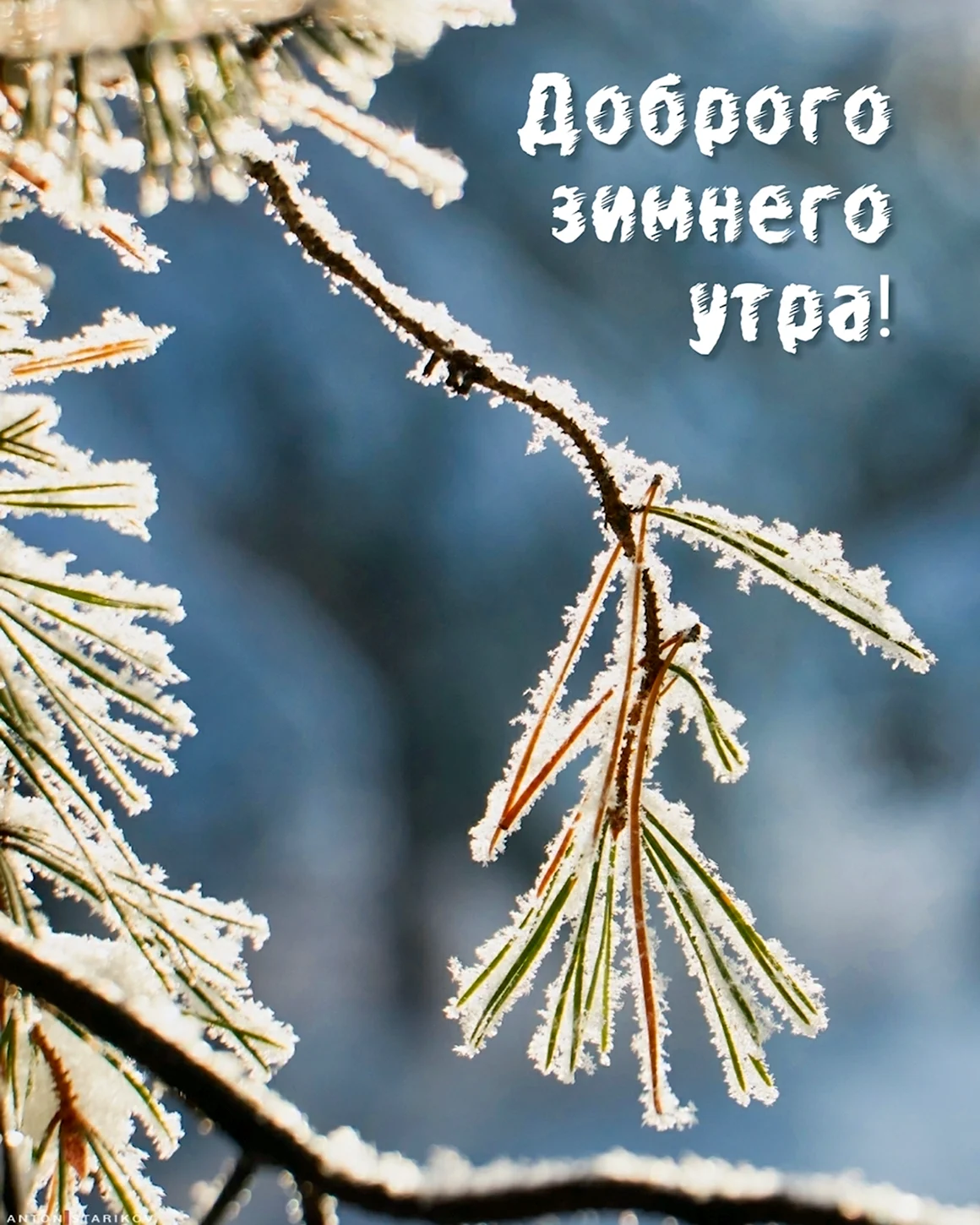 Доброе утро зима