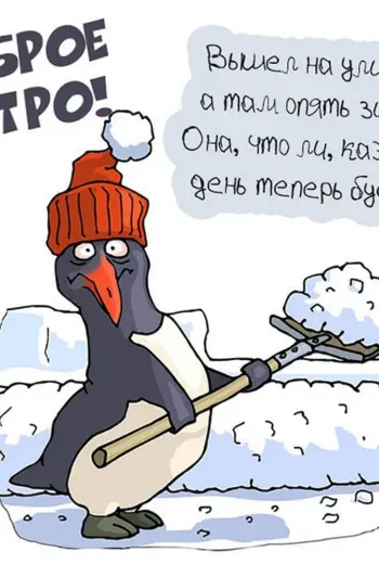 Доброе утро зимнее прикольное