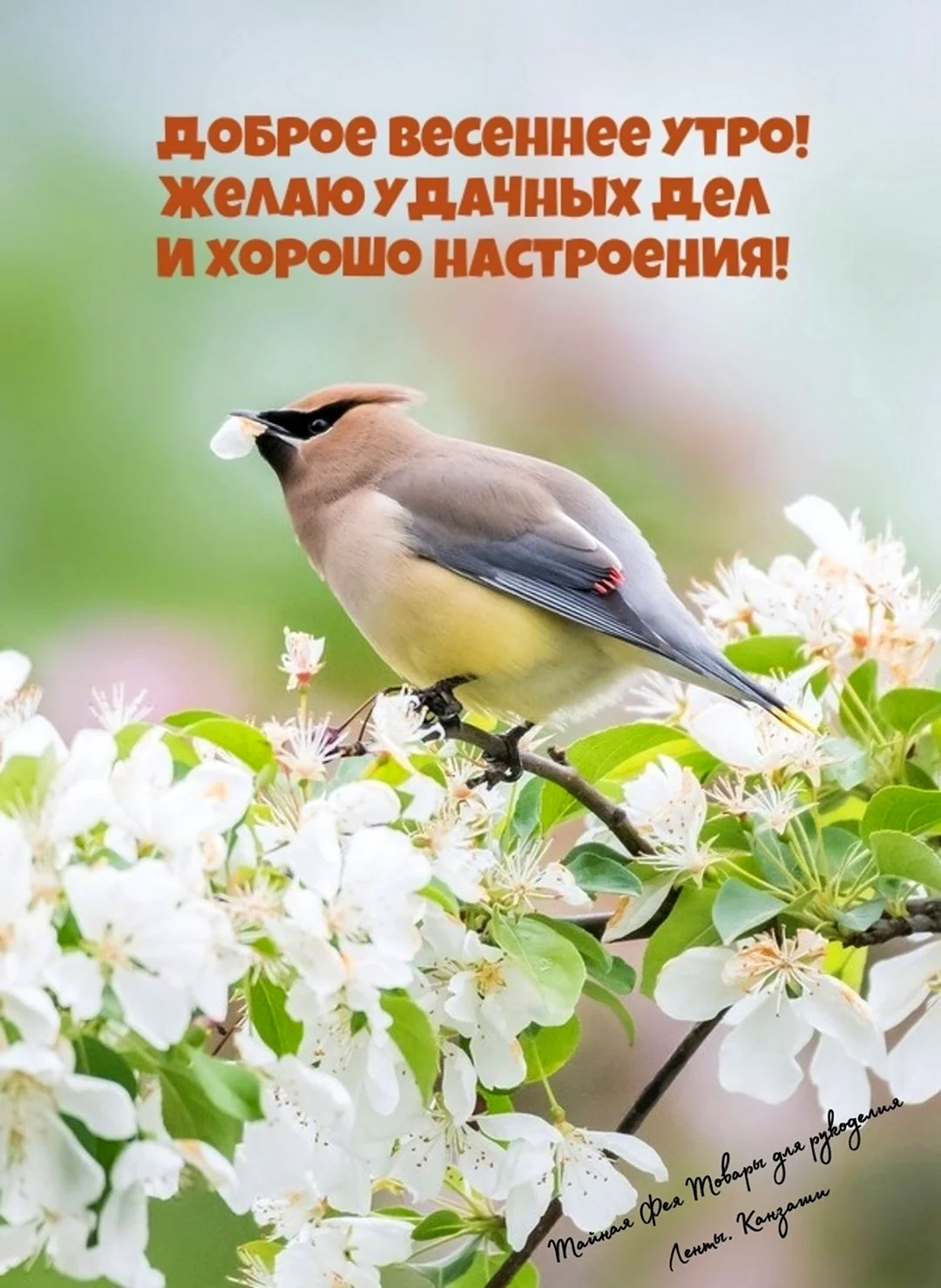 Доброе Весеннее утро