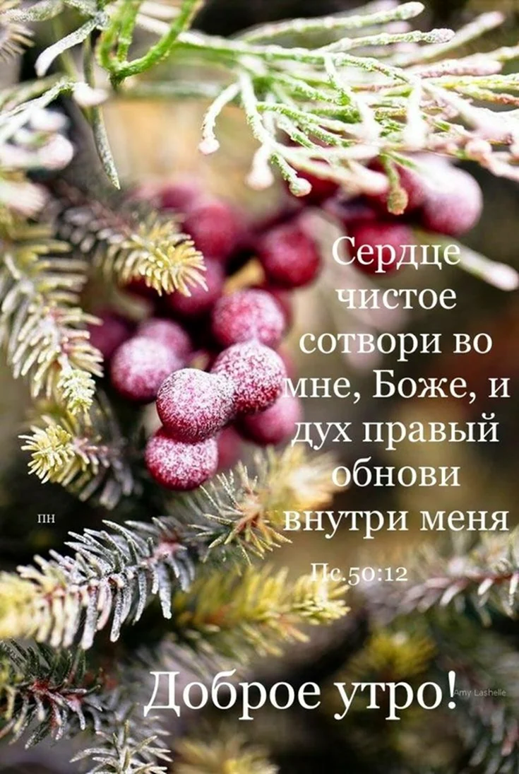 Доброе зимнее утро