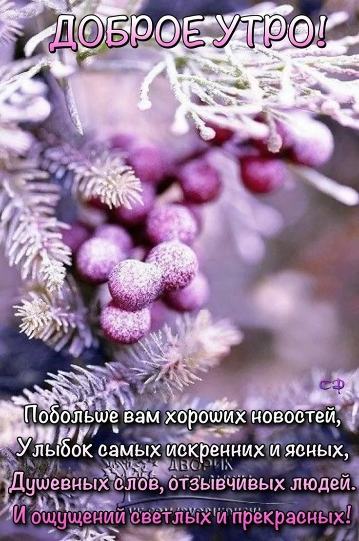 Доброе зимнее утро