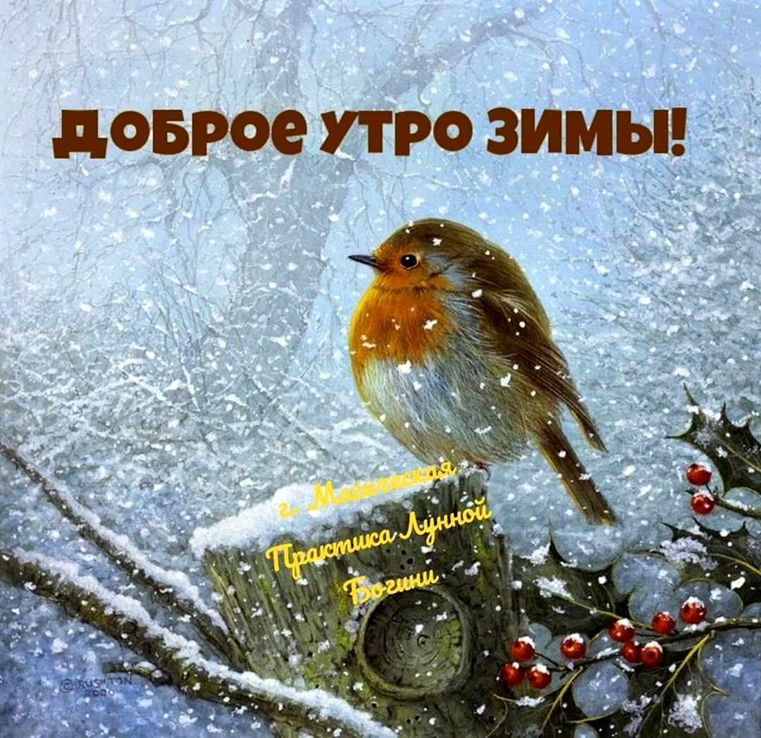 Доброе зимнее утро