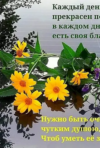 Доброго дня и Божьей помощи