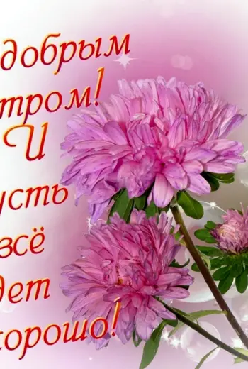 Доброго дня и здоровья
