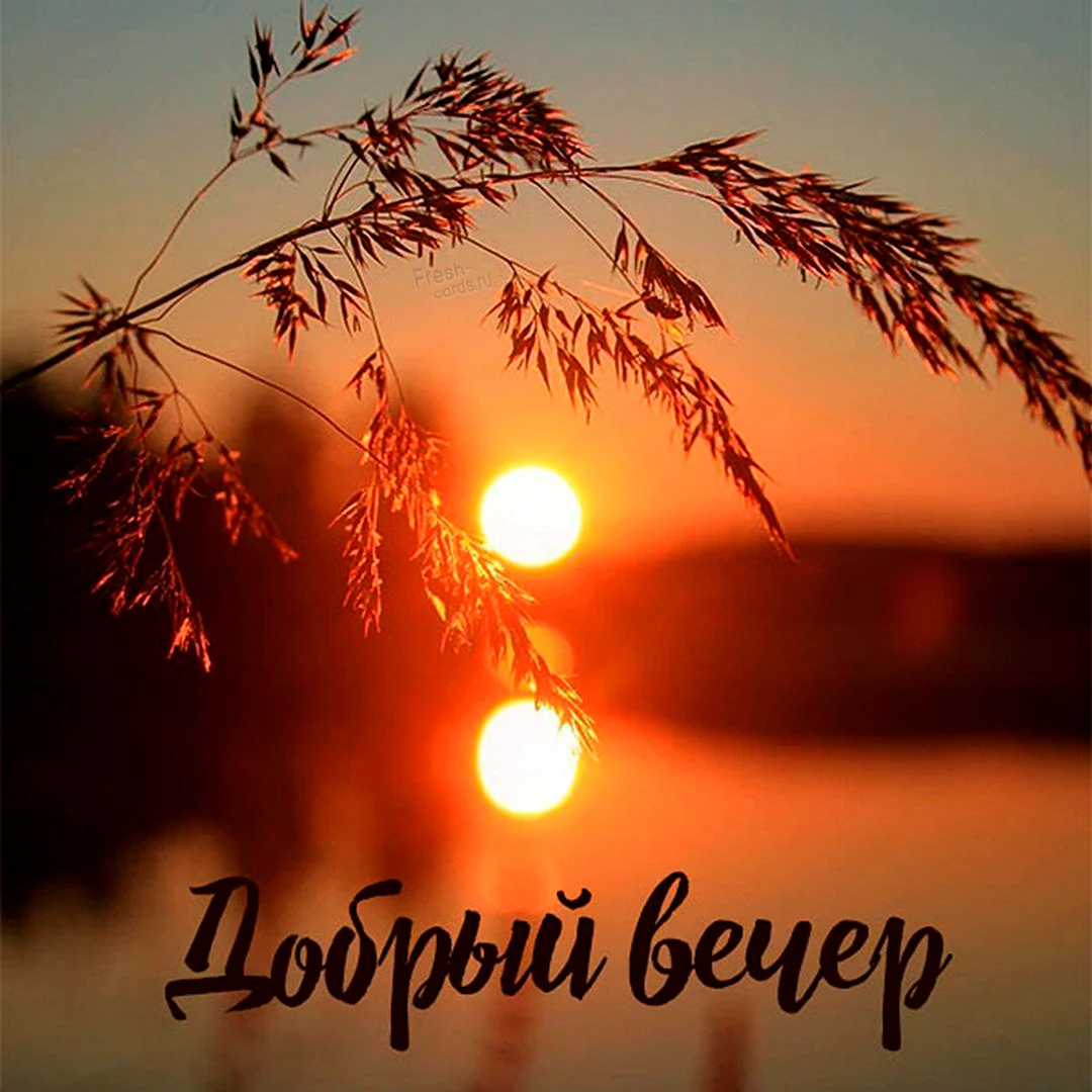 Доброго летнего вечера