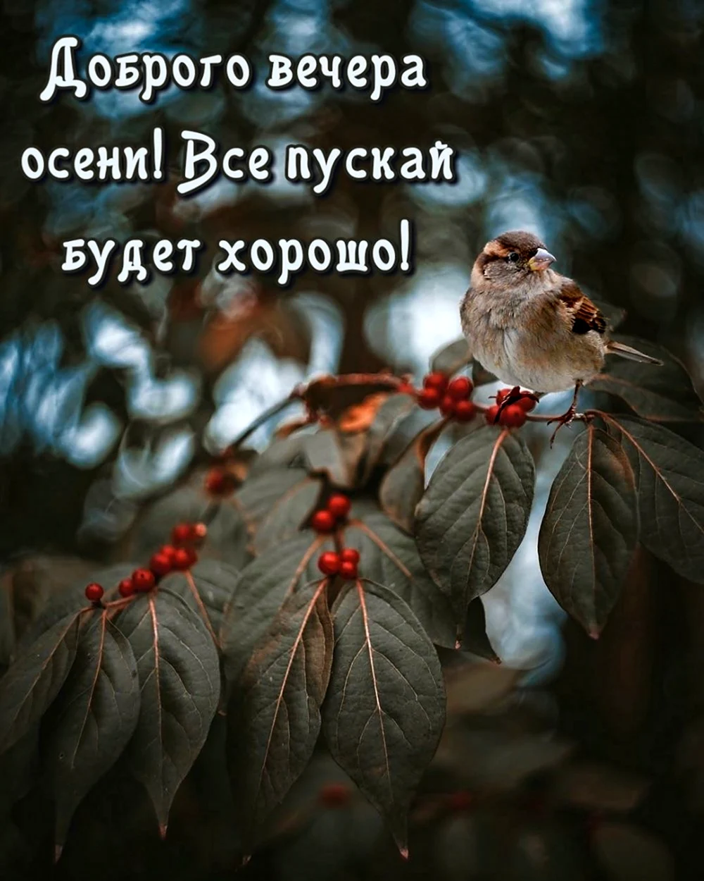 Доброго осеннего вечера