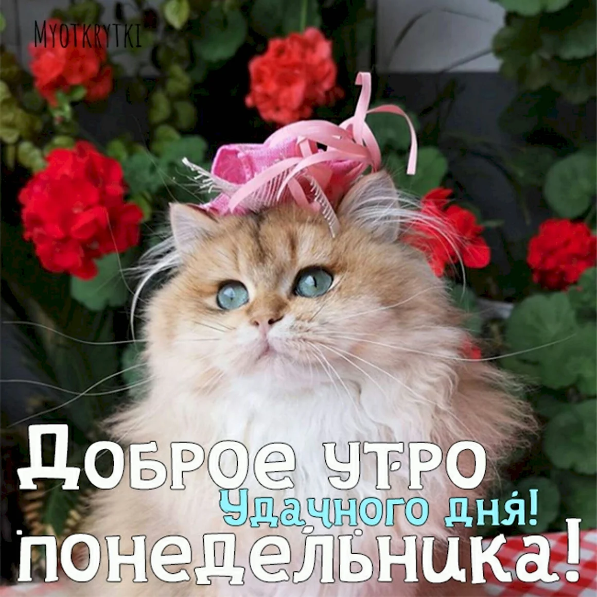 Доброго понедельника