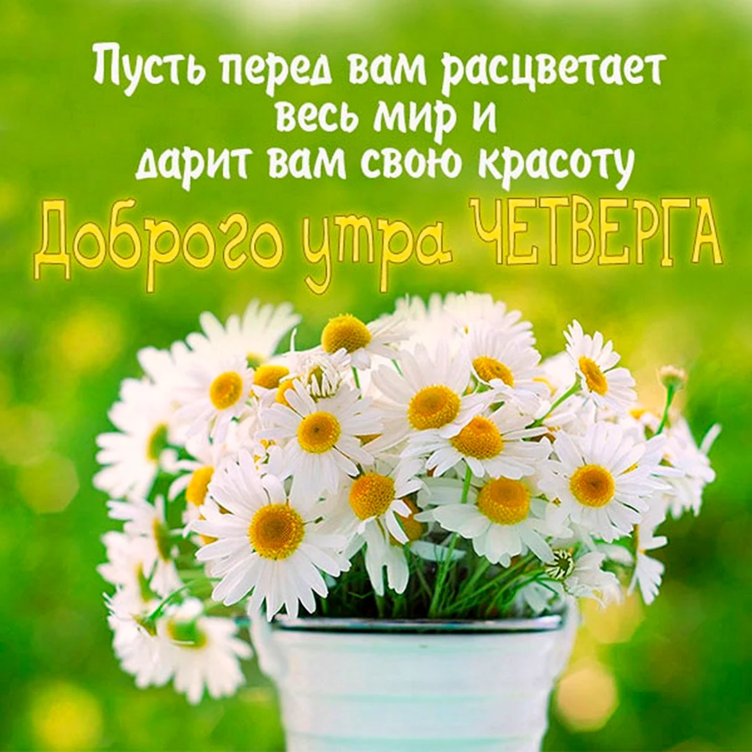 Доброго понедельника и удачной