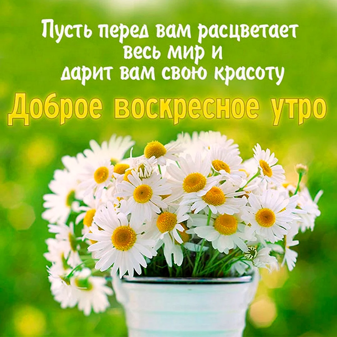 Доброго понедельника и удачной