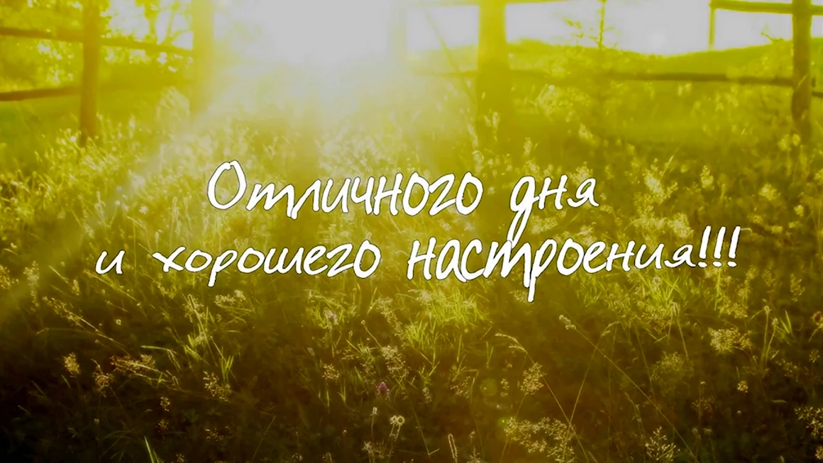 Доброго позитивного утра и удачного дня