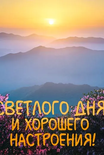 Доброго солнечного дня