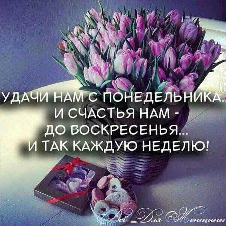 Доброго вам понедельника
