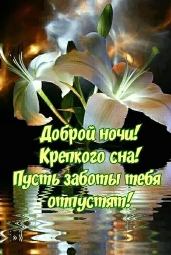 Доброго вечера и спокойной ночи
