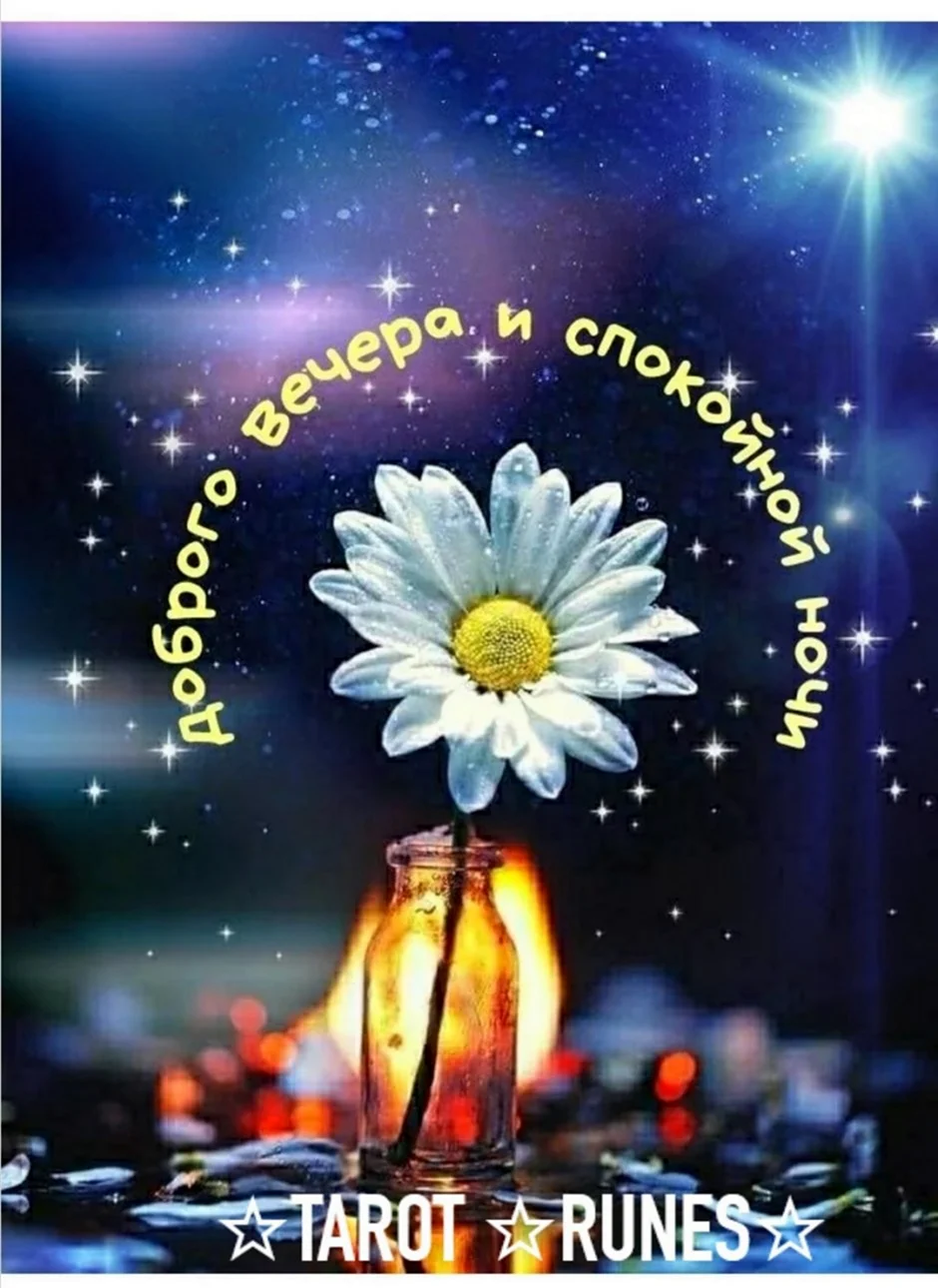 Доброго вечера и спокойной ночи