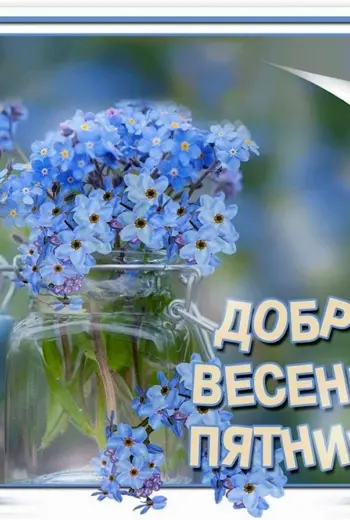 Доброго весеннего дня фото