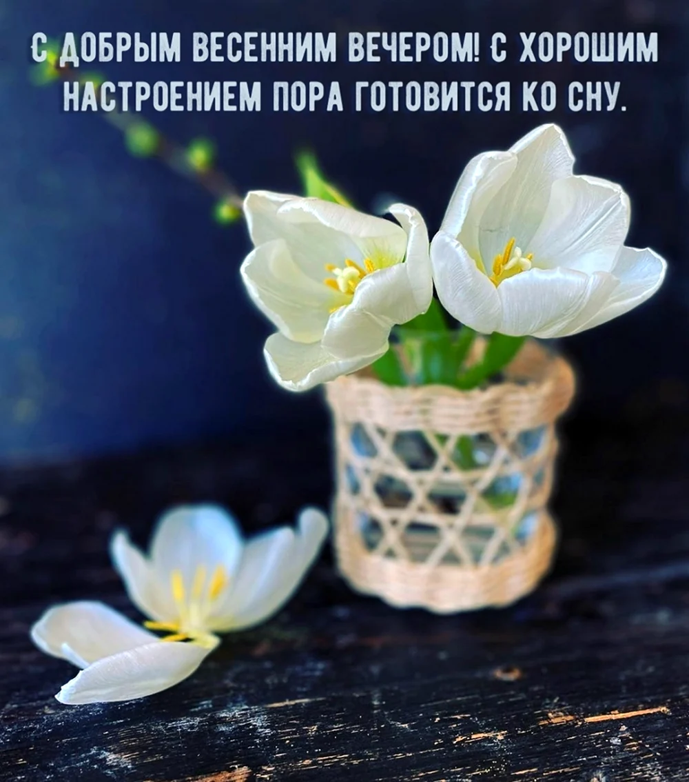 Доброго весеннего вечера