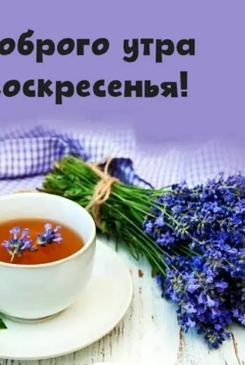 Доброго воскресенья