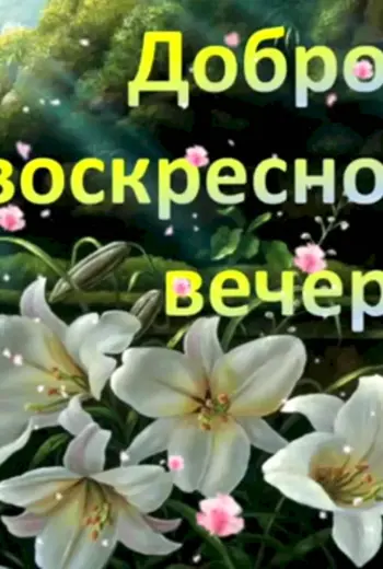 Доброго воскресного вечера