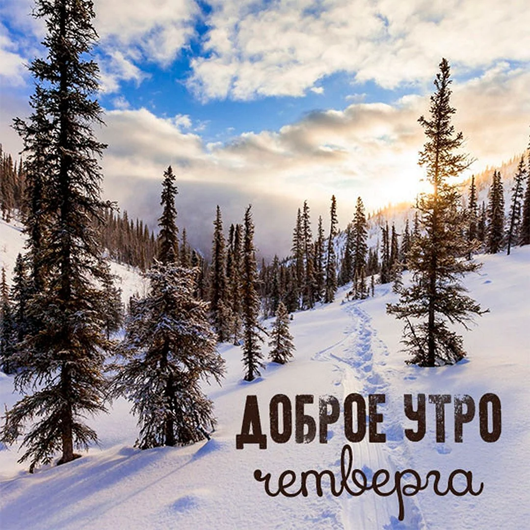 Доброго зимнего четверга