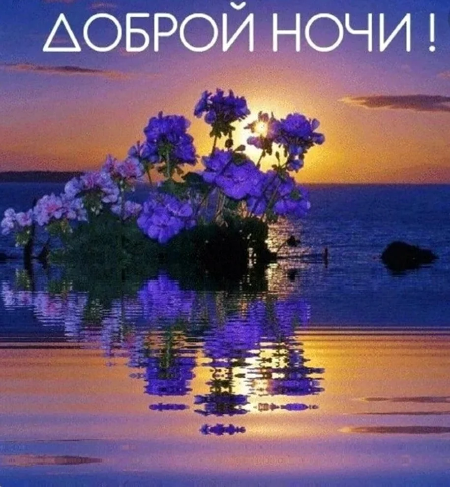 Доброй летней ночи