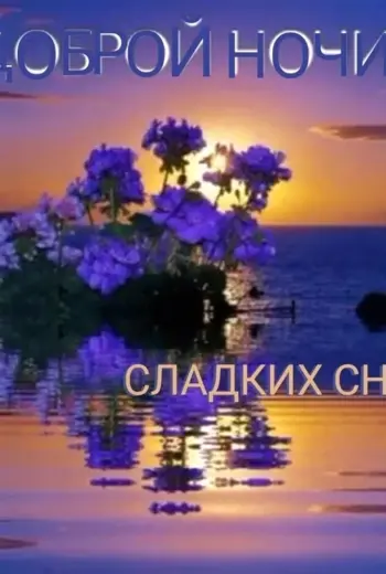 Доброй летней ночи