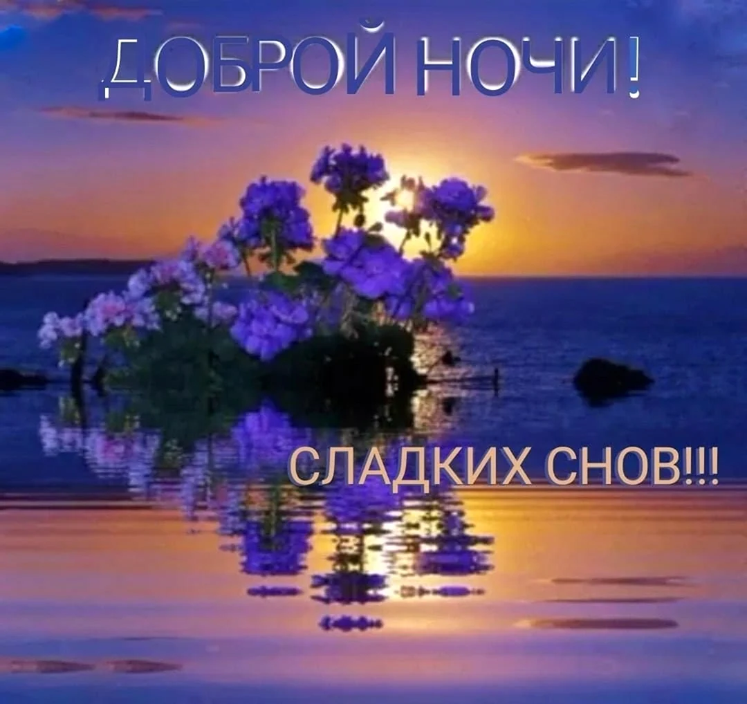 Доброй летней ночи
