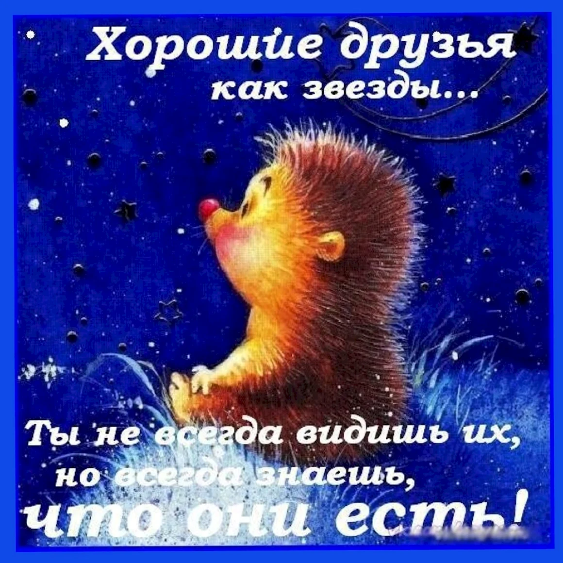 Доброй ночи Ежик