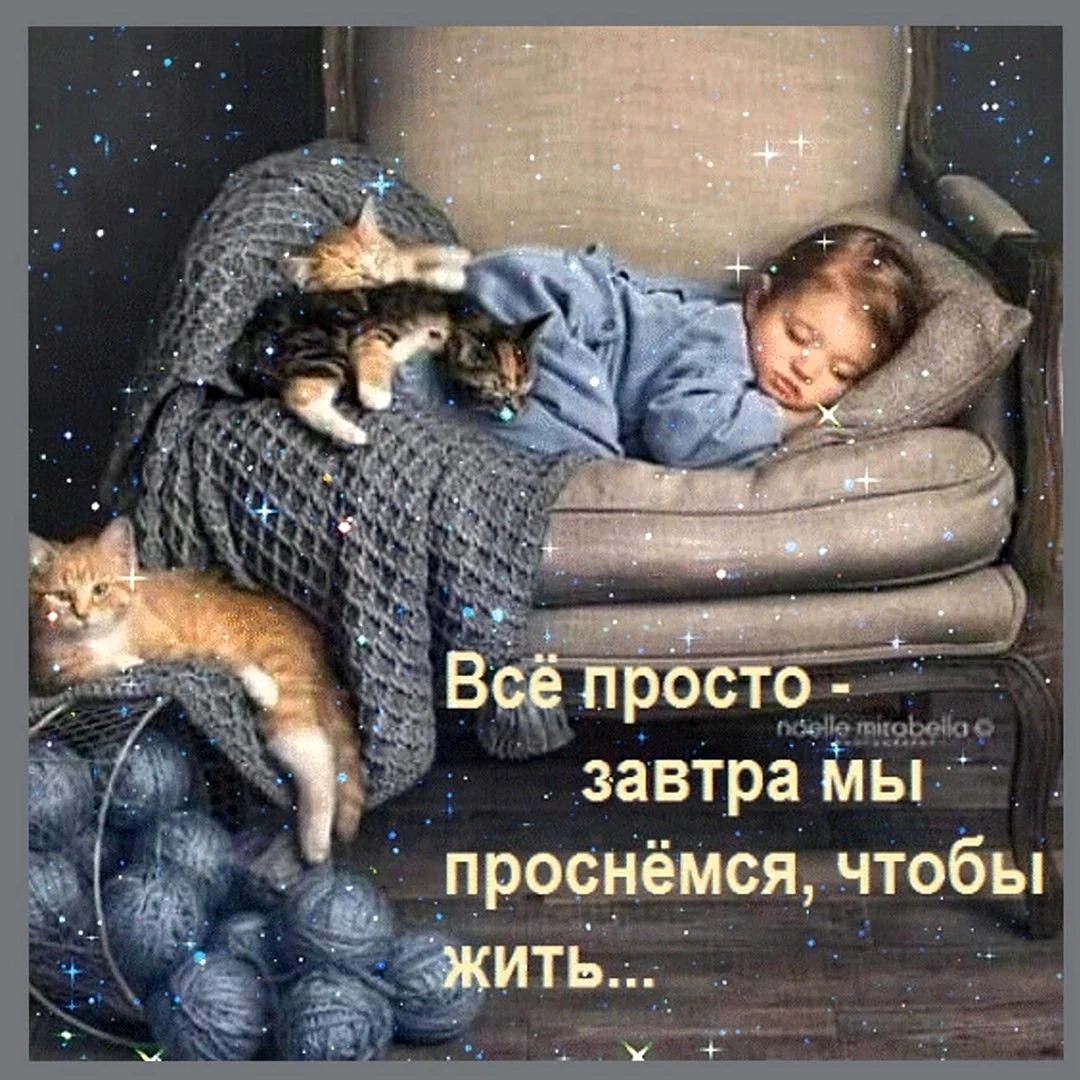 Доброй ночи и светлого завтра