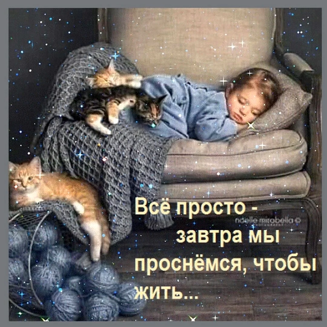 Доброй ночи и светлого завтра