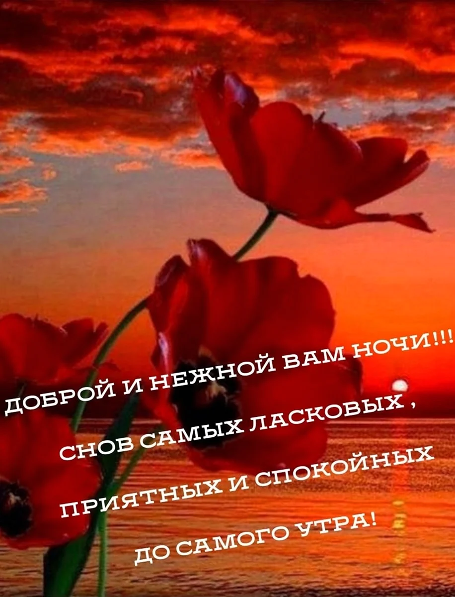 Доброй ночи счастливого завтра