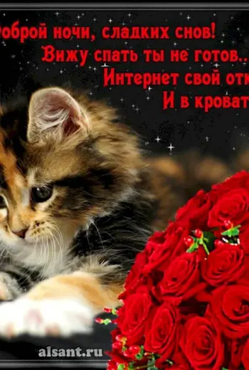 Доброй ночи сладких снов