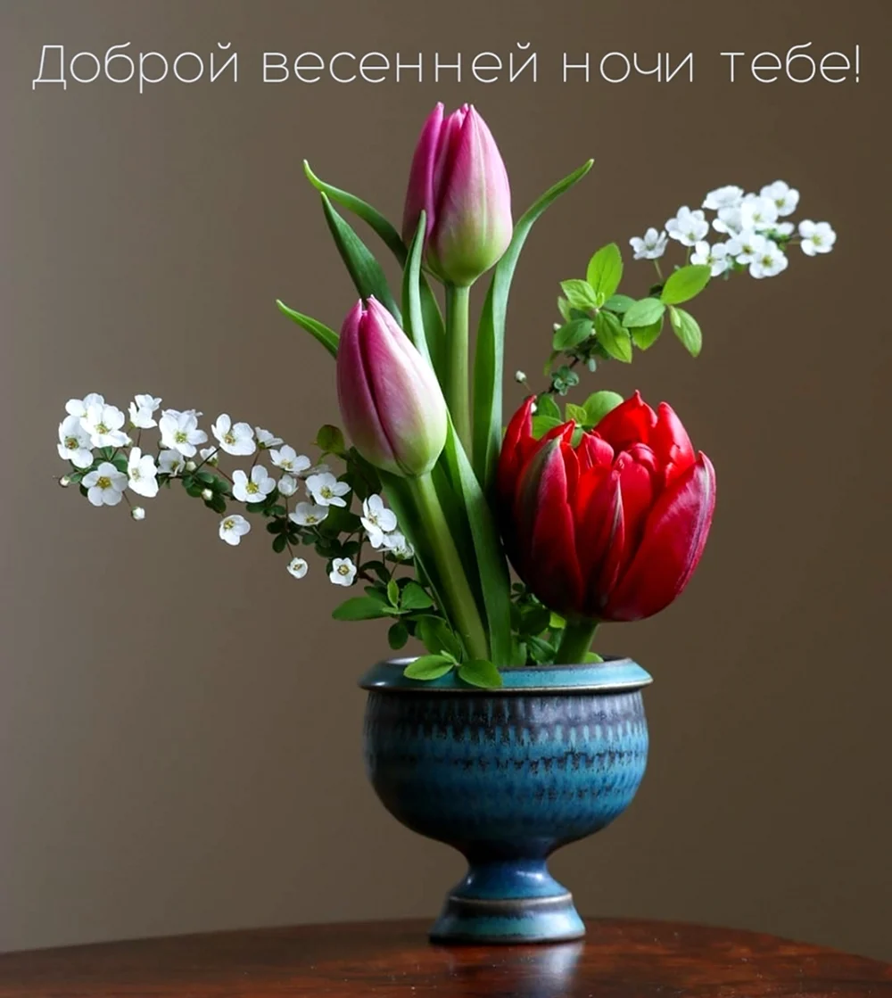 Доброй весенней ночи