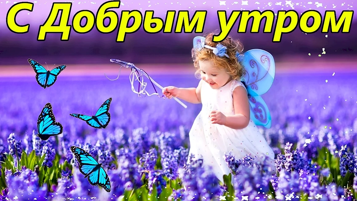 Доброта утром