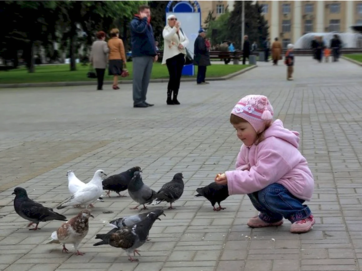 Добрые дела