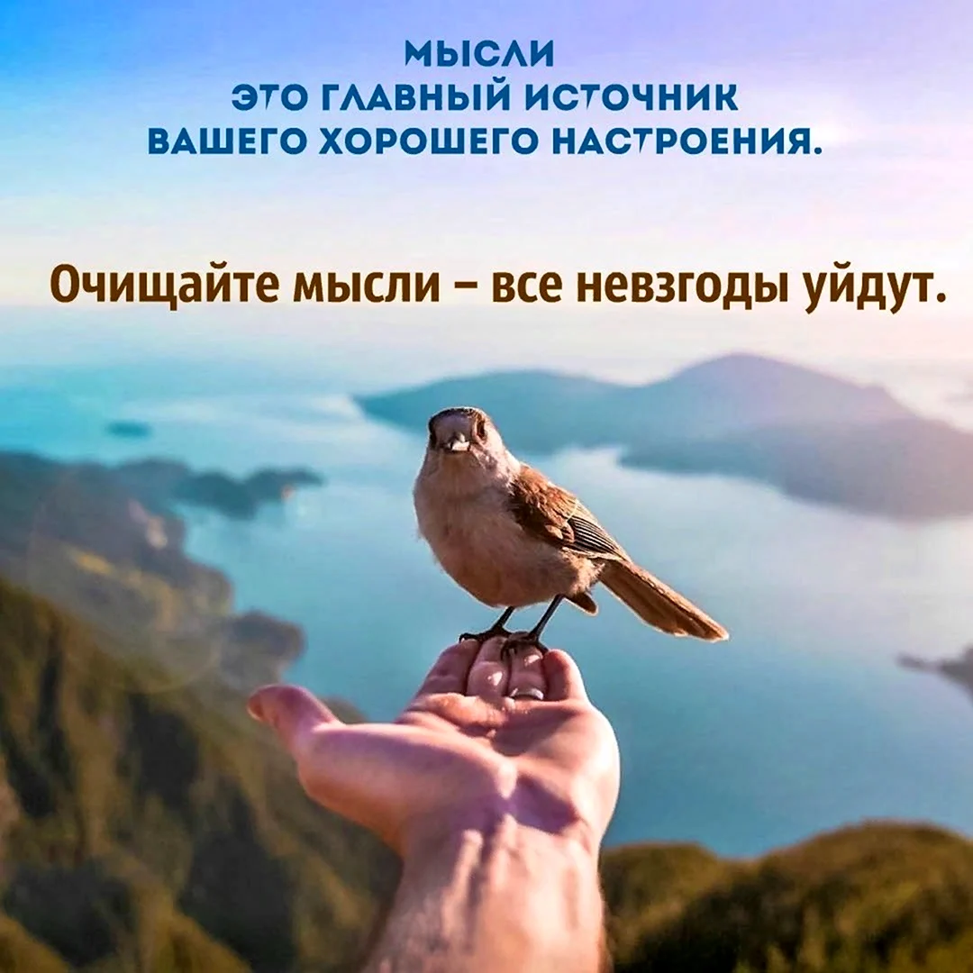 Добрые мысли