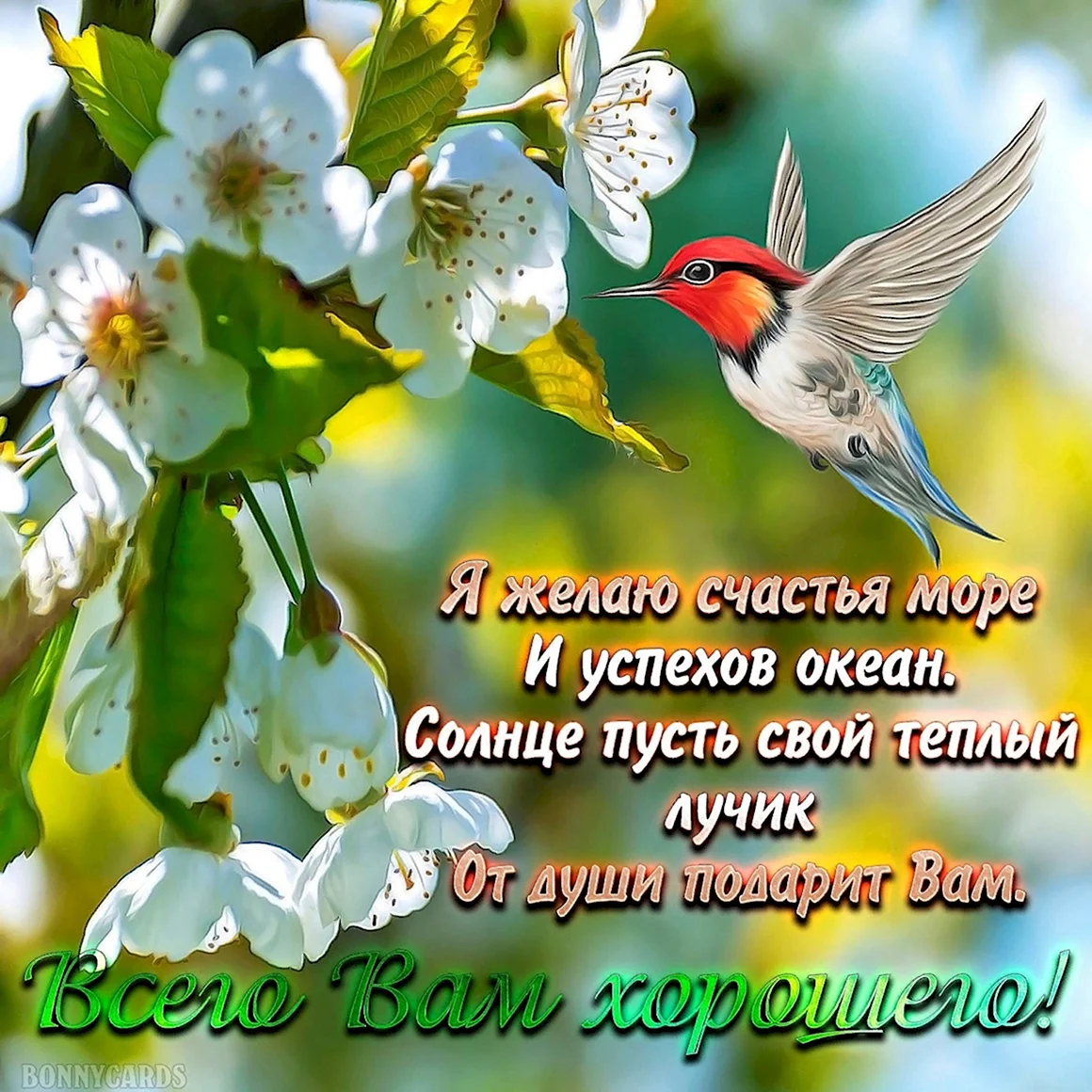 Добрые пожелания
