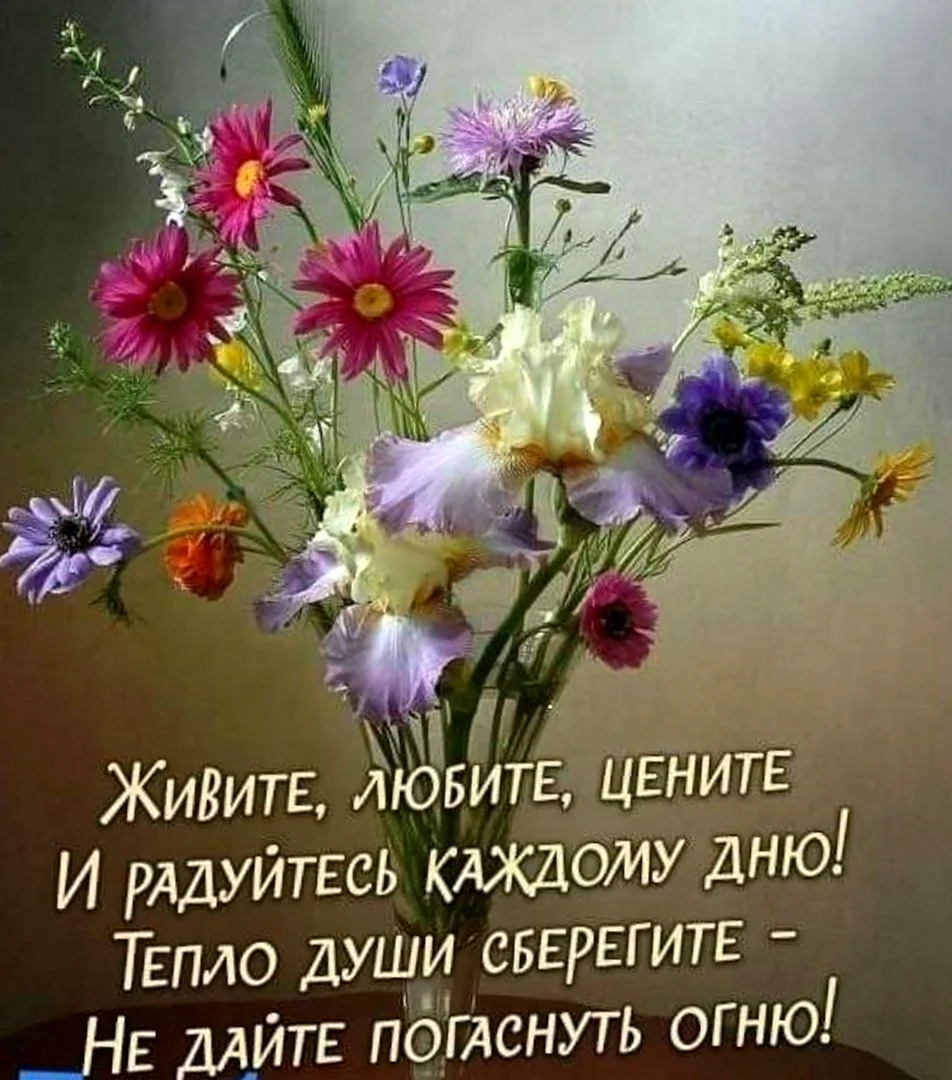 Добрые пожелания