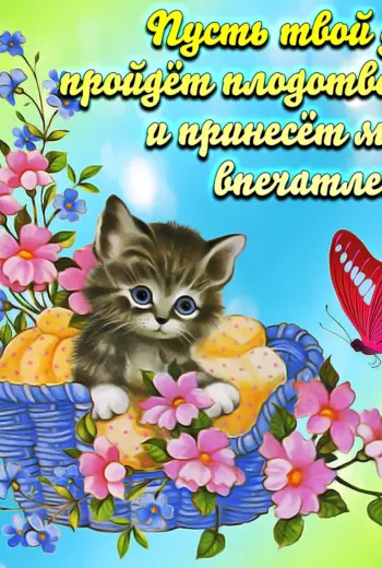 Добрые пожелания