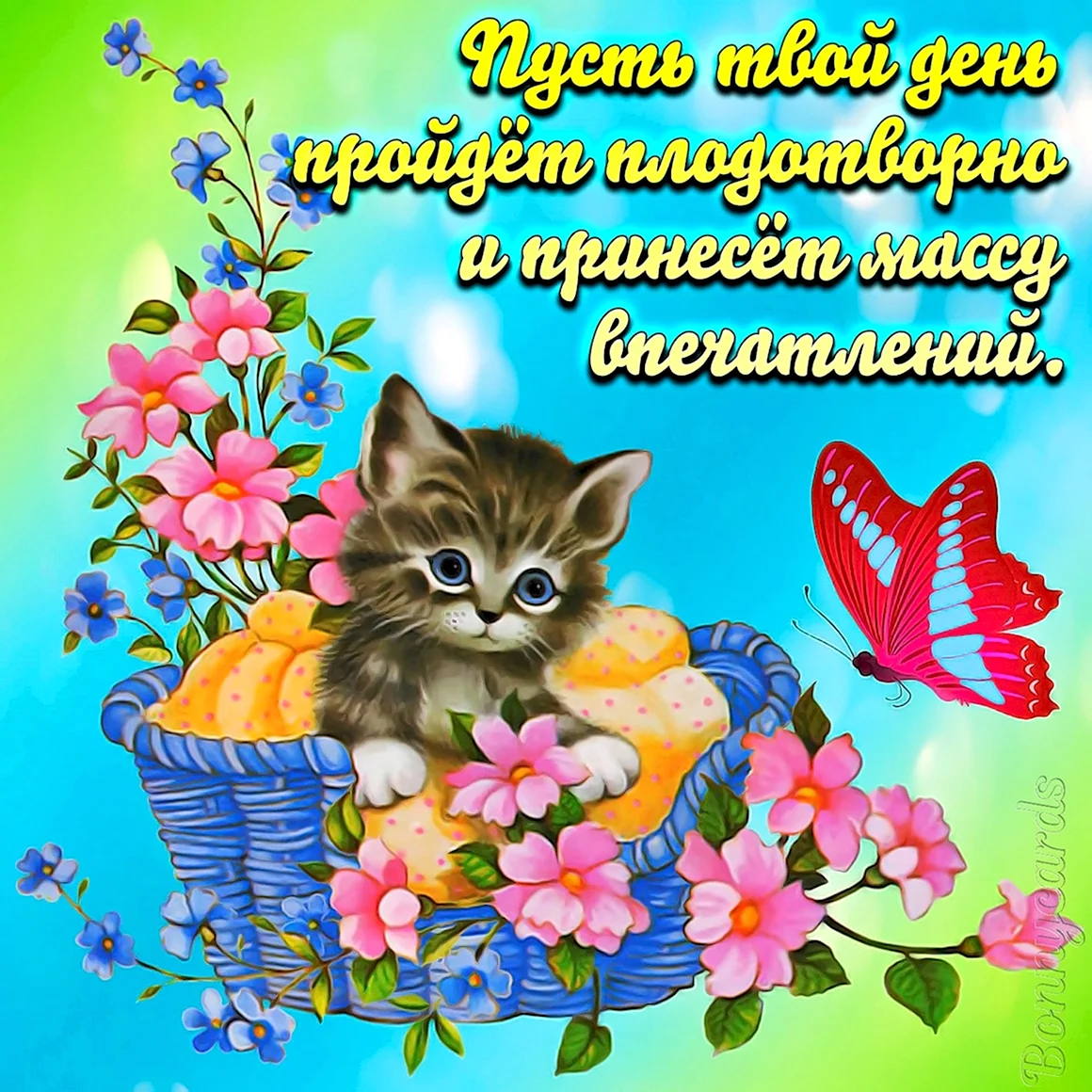 Добрые пожелания