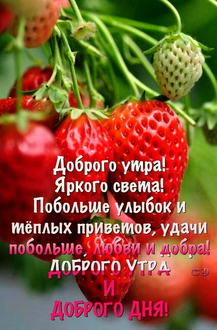 Добрые пожелания и высказывания