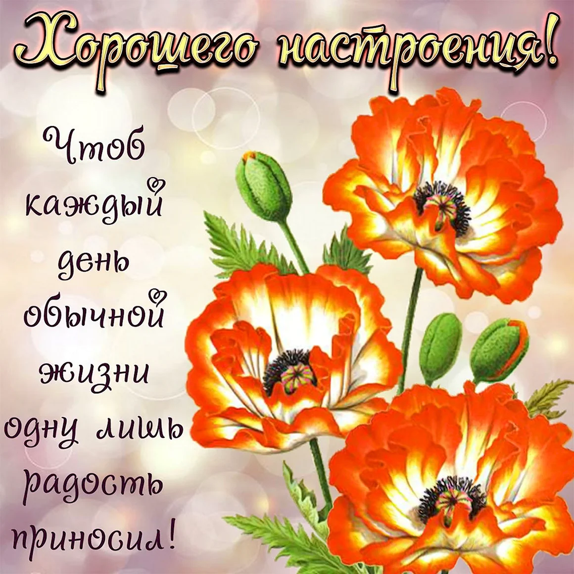 Добрые пожелания на каждый день
